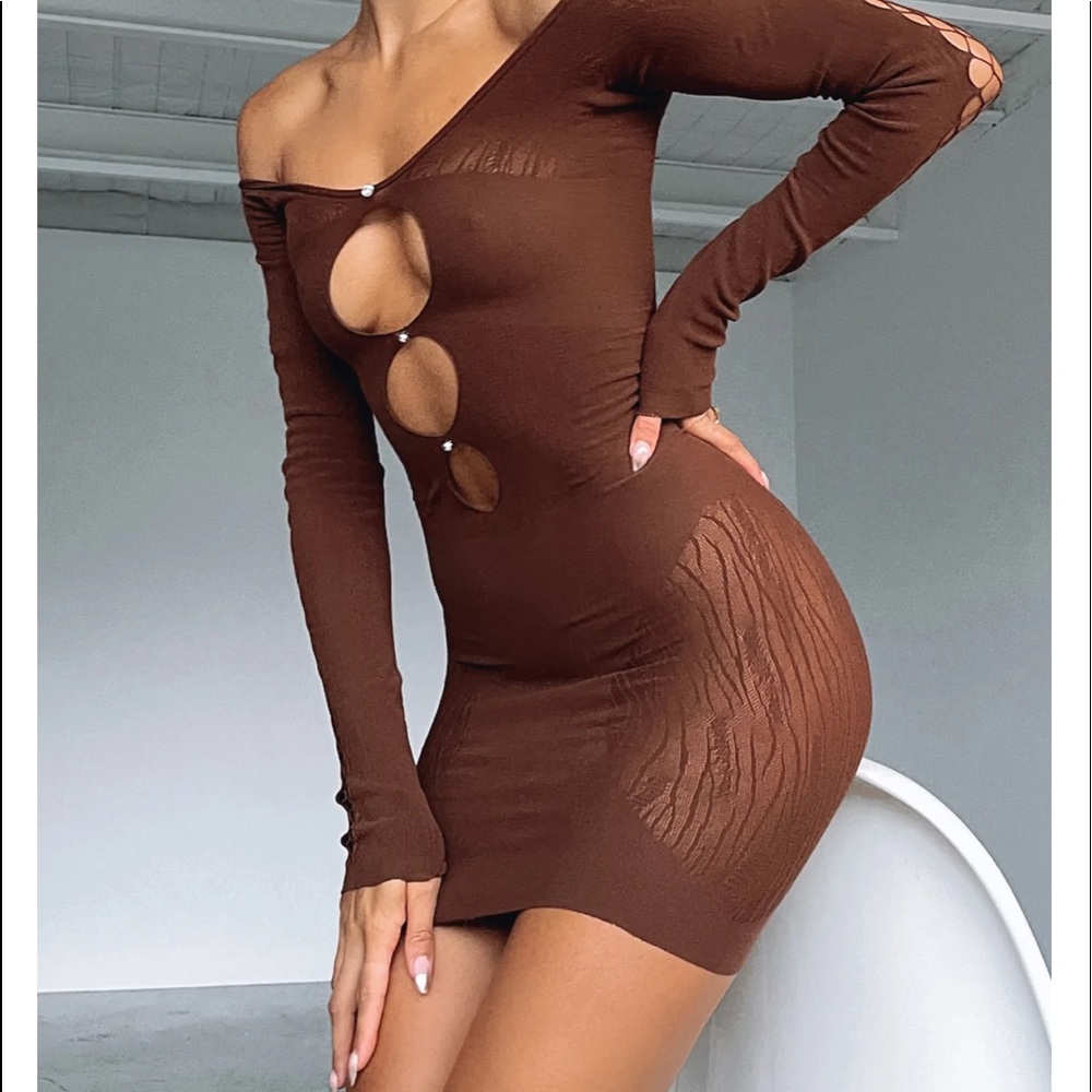 White fox chocolate brown mesh dress
